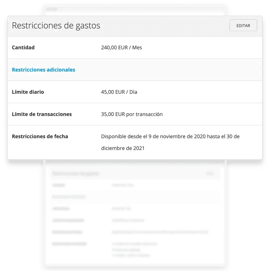 a screenshot of the restrictions de gastos page